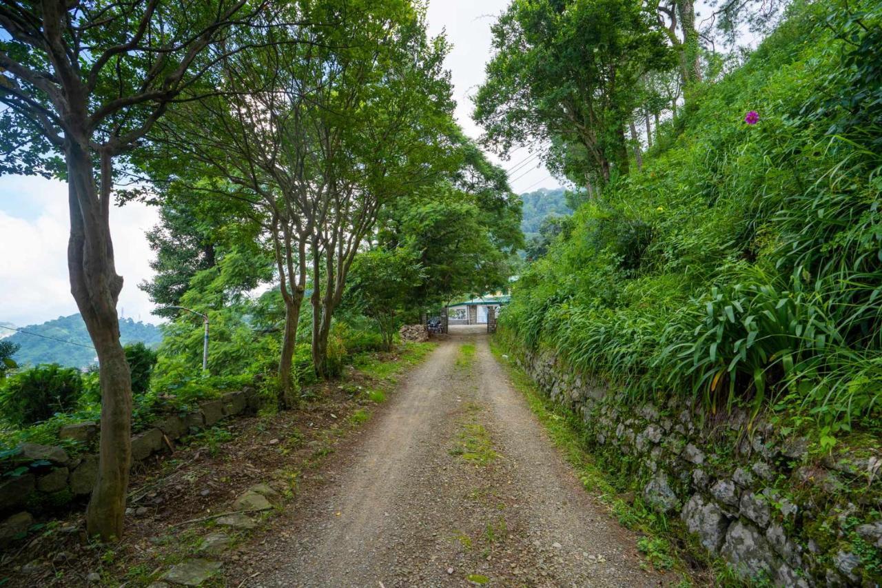 Stayvista At Springfield With Bonfire Kasauli Exterior foto